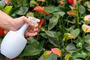 Основные правила безопасного применения пестицидов в личных подсобных хозяйствах