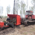 Сергей Цивилев: в этом году в КуZбассе высадим почти 12 миллионов молодых деревьев