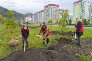 В Междуреченске состоялся Единый день посадки деревьев