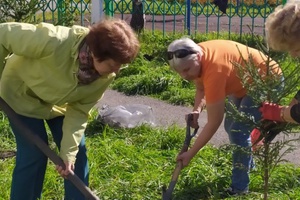 На этой неделе в Междуреченске стартовала акция «Мой зеленый двор»